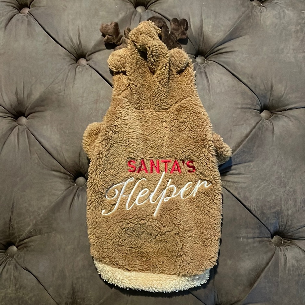 Martha Stewart Pets Dog Hoodie